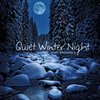 Hoff Ensemble - Quiet Winter Night - An Acoustic Jazz Project - 180g LP